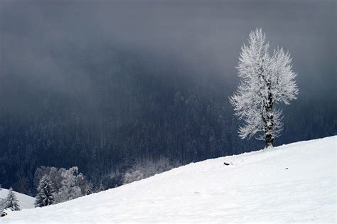 Paltinis, Sibiu, Romania, at the feet of the mountains | Sibiu, Scenery, Romania