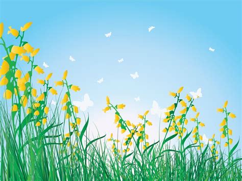 Grass flowers isolated sky PPT Backgrounds for Microsoft Powerpoint ...