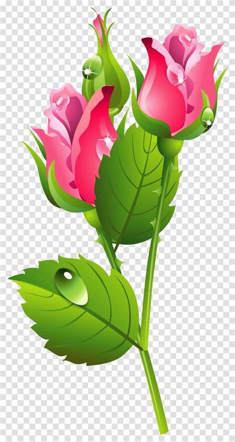Download Green Border Frame Clipart Free Frame Flower Border Clipart, Plant, Blossom, Floral ...