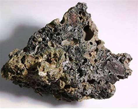 3 Pieces of Scoria Vesicular Basalt Igneous Rock Measures 1 2 Inches on ...