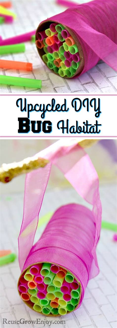 DIY Bug Habitat Made With Upcycled & Reused Items - Reuse Grow Enjoy