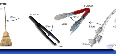 Third class levers | Online science, Class, Simple machines