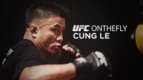 UFC on the Fly: Cung Le | Ufc, Cung le, Video