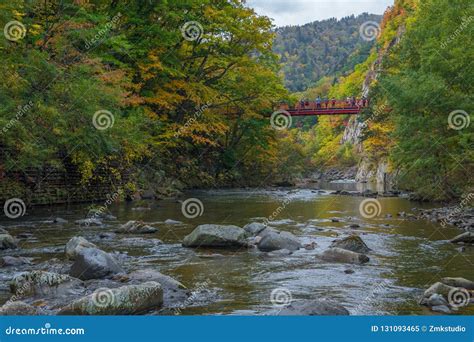 Autumn Leaves View in Jozankei Onsen Village Stock Image - Image of bright, japan: 131093465