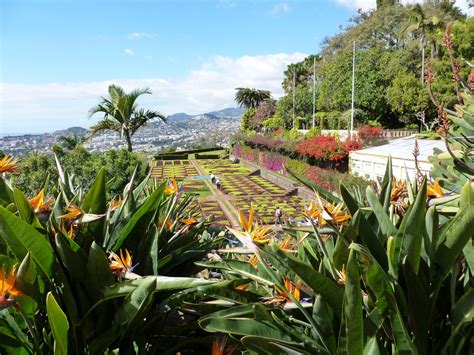 JR's Retirement: Madeira Botanical Gardens