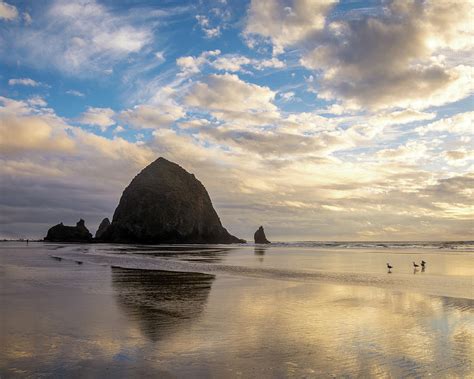 Cannon Beach Sunset Photograph by Matthew Alberts | Fine Art America