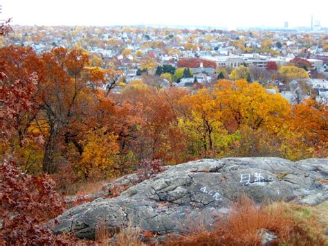 Malden, MA Where I was born and raised! | Favorite places, Natural ...