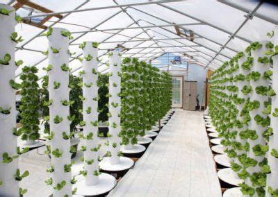 Vertical Farming | Urban Farming | Tower Farms | Aeroponics | Tower ...