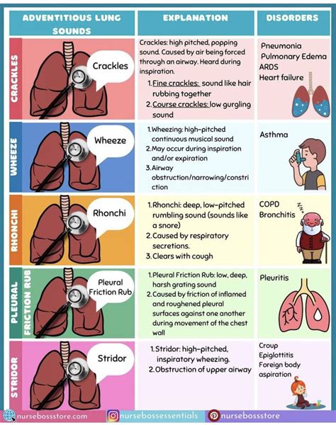 Pin on Respiratory | Nursing notes, Nurse study notes, Nursing student tips