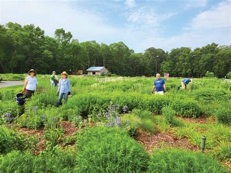 Delaware Botanic Gardens: A Dream Realized - Flower Magazine