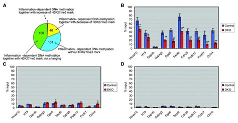 Aging, health and disease – view from the DNA Methylome - AGINGSCIENCES ...