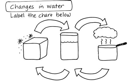 Properties of Water Diagram | Quizlet