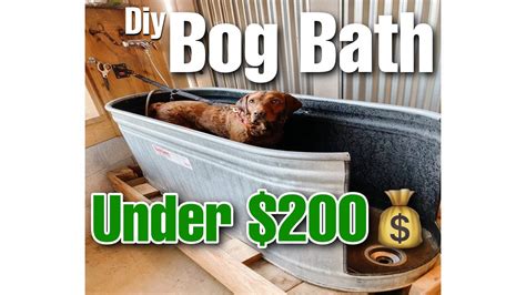 DIY Dog bath for under $200💰🛁🐶Breeders Hacks‼️(PART 1) - YouTube