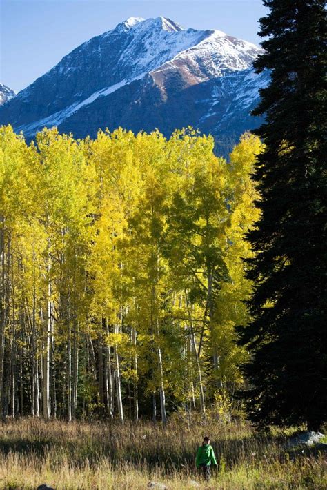 The Seven Best Drives for Colorado Fall Colors -Just a Colorado Gal