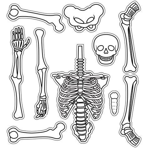 Printable Skeleton Template