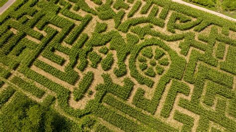 Queens' amazing maize maze