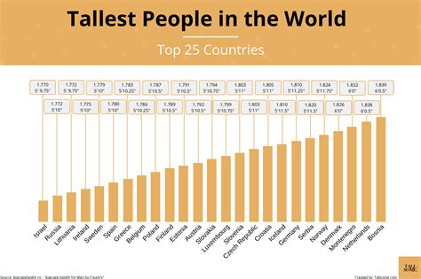 Tallest People in The World: Top 25 Countries by Average Height