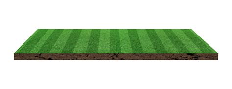 0 Result Images of Soccer Field Grass Png - PNG Image Collection