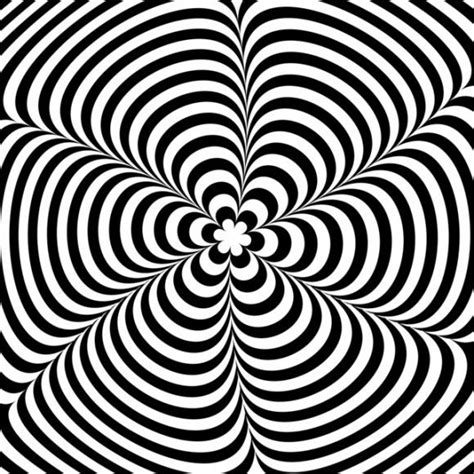 Moving Black and White Illusion | Black and white illusions, Optical ...