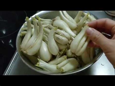 How to Make Rakkyo Pickles in the Japanese Way - YouTube