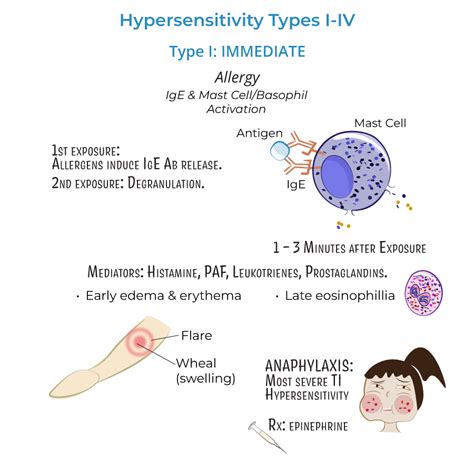 Clinical Pathology Glossary: Hypersensitivity All Types | ditki medical & biological sciences