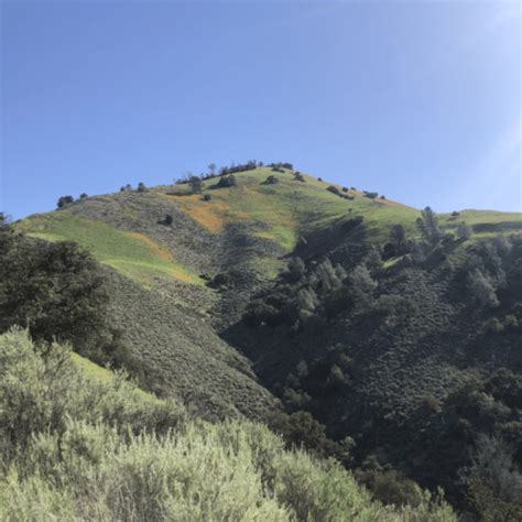 Grass Mountain Trail | Visit Santa Ynez Valley Members