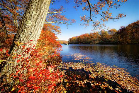 Fall Foliage at Lake Kanawauke Photograph by Cheri Freeman - Fine Art ...