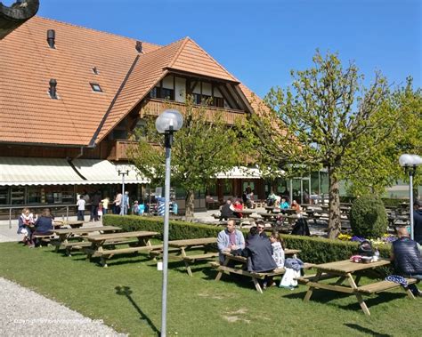 A cheese factory tour in Switzerland - The Revolving Compass