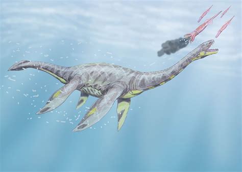 Plesiosaurus - DinoPit