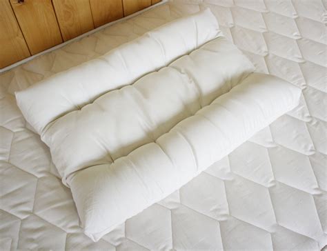 Organic Pillows : Orthopedic Neck Pillow - Alternative to Tempur-Pedic