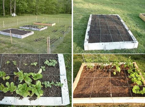 How to Build Your Own Square Foot Garden in 10 Easy Steps | Home Design ...