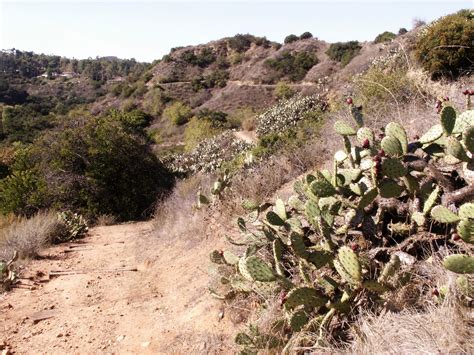 Oak Canyon Nature Center