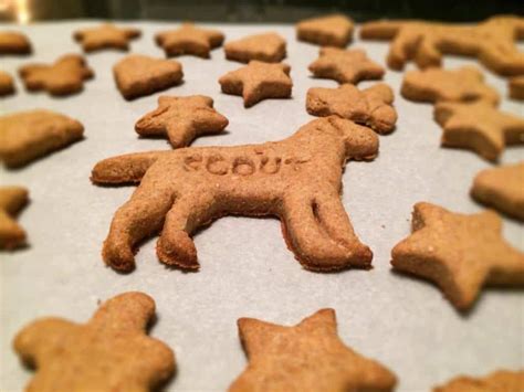 Homemade Dog Treats, Peanut Butter - The Cookie Rookie