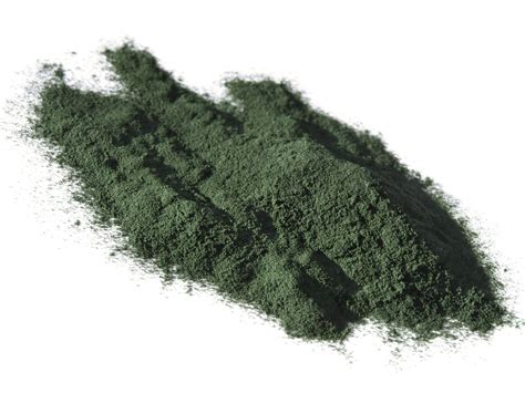 Ausleitung von Quecksilber nach Dr. Klinghardt | Chlorella