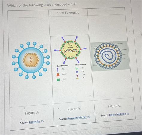 [ANSWERED] Which of the following is an enveloped virus Viral Examples ...