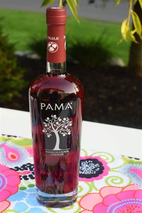 PAMA Berry Sangria Recipe - Pretty My Party