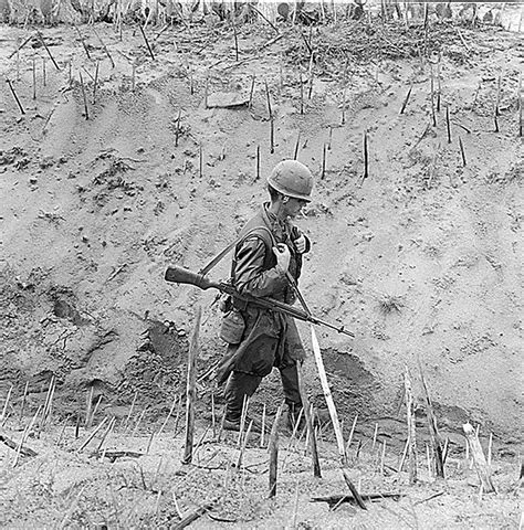 A US Marine carrying an M-14 rifle walks through a gully saturated with punji sticks 28 January ...