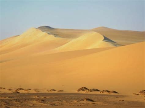 Egypt Desert Safari Tours, Desert Safari Tour Packages, Safari Tours