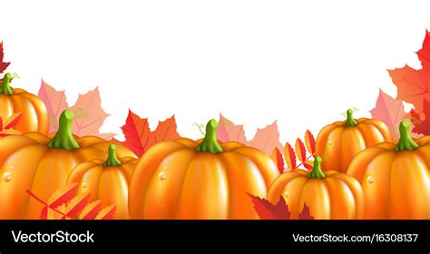 Pumpkins border Royalty Free Vector Image - VectorStock