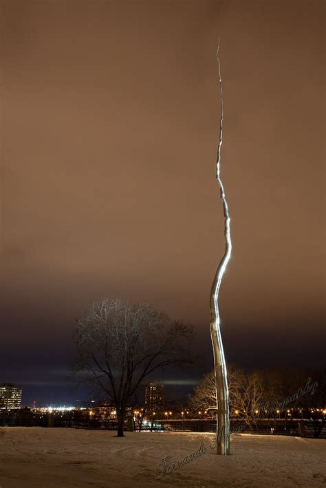 Fernando Matias Photography - Ottawa Ontario - Ottawa Wedding Photographer: Man Made Tree vs. Nature