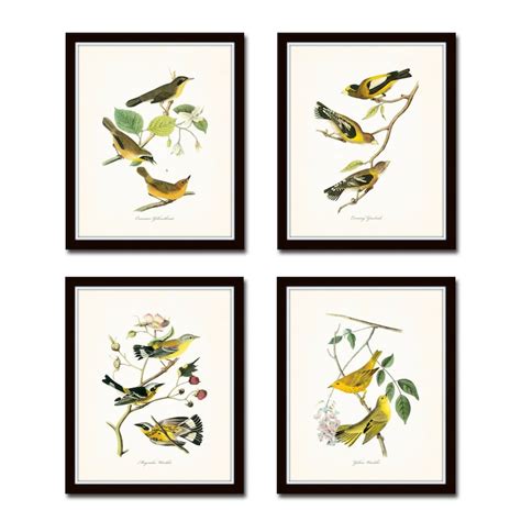 Audubon Bird Prints Set No. 2 Botanical Prints Art Prints - Etsy