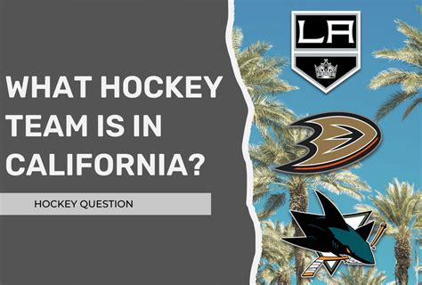 What Hockey Team Is in California? (Plus 9 Other California Hockey ...