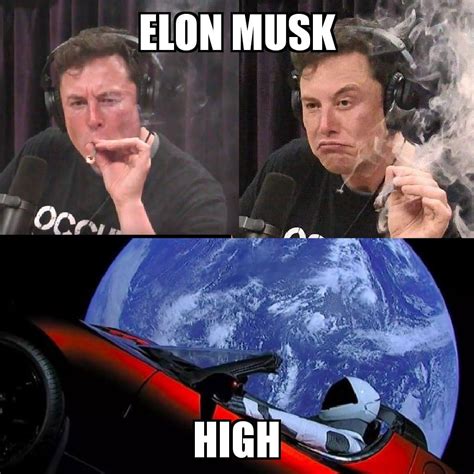 Elon Musk High : r/memes