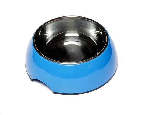 Blue Round Dog Bowl By Animal Kingdom Ltd | notonthehighstreet.com