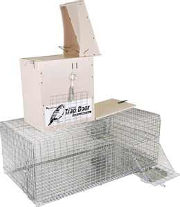 Bird Barrier: Multi-Catch Cage Trap for the Sparrow Trap Door | Pest ...