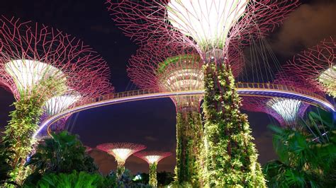 Gardens By The Bay Light Show Review - Janainataba