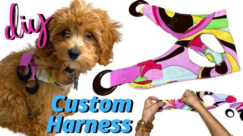 DIY CUSTOM DOG HARNESS TUTORIAL - YouTube