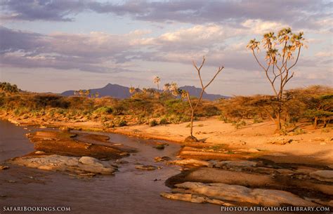 Samburu National Reserve – Travel Guide, Map & More!