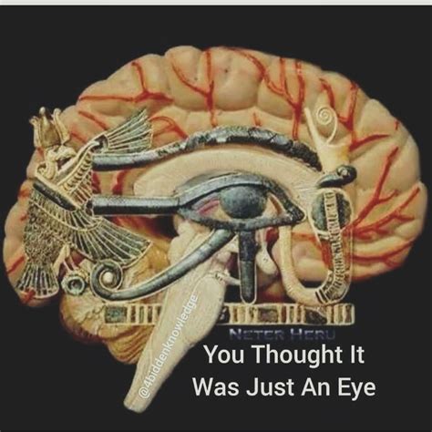 The 3rd Eye Is The Egyptian Eye Of Horus. | Ancient civilizations, Kemetic spirituality, Pineal ...