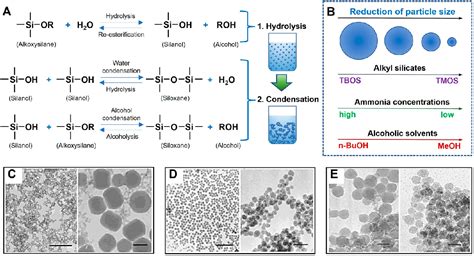 Figure 1 from Mesoporous Silica Nanoparticles as a Potential Nanoplatform: Therapeutic ...